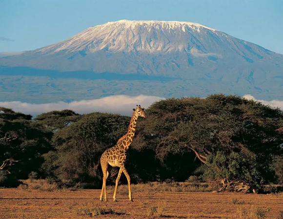 Kilimanjaro National Park