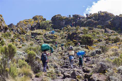 6 DAYS MOUNT KILIMANJARO MARANGU ROUTE