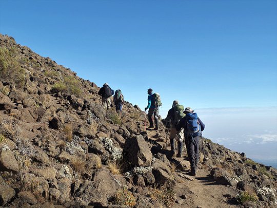 7 DAYS MOUNT KILIMANJARO MACHAME ROUTE