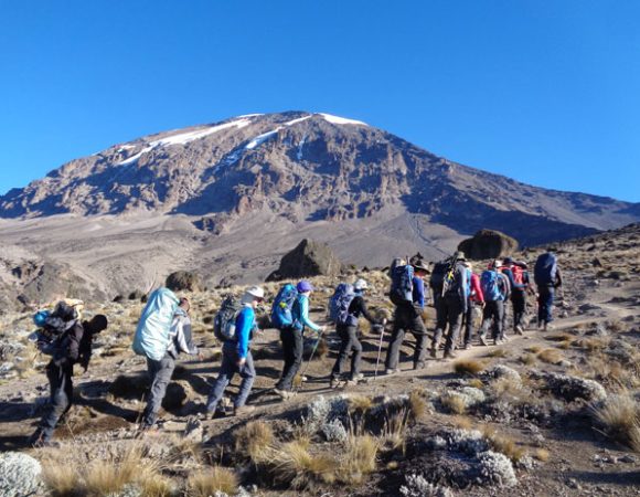 7 DAYS MOUNT KILIMANJARO LEMOSHO ROUTE