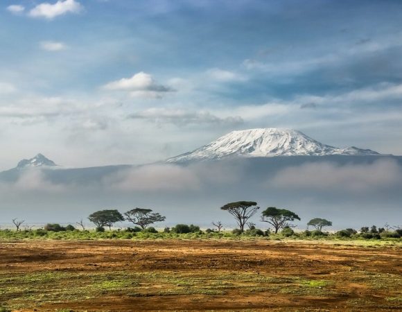 9 DAYS MOUNT KILIMANJARO NORTHERN CIRCUIT