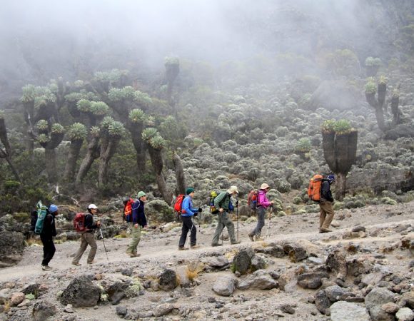 7 DAYS MOUNT KILIMANJARO RONGAI ROUTE