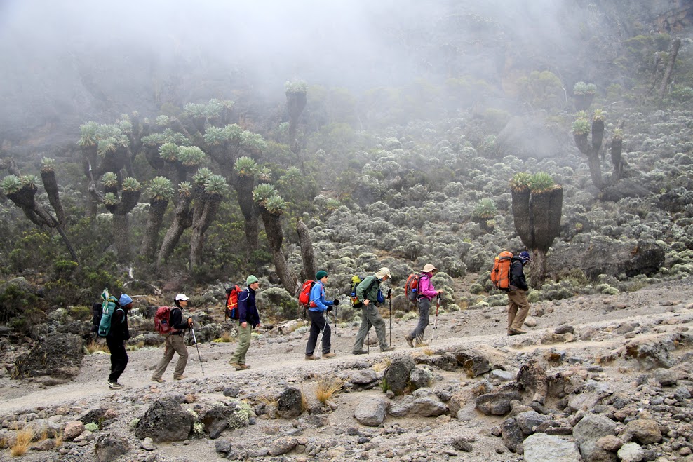 7 DAYS MOUNT KILIMANJARO RONGAI ROUTE