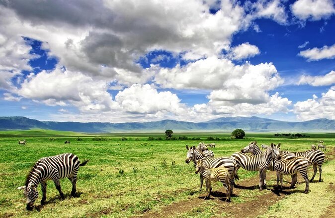 3 DAY 2 NIGHT LAKE MANYARA , TARANGIRE & NGORONGORO SAFARI