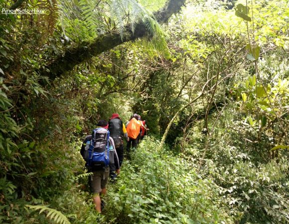 6 DAYS MOUNT KILIMANJARO RONGAI ROUTE