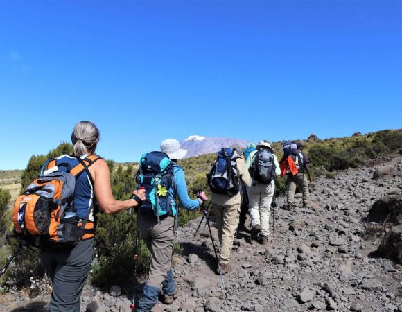 6 DAYS MOUNT KILIMANJARO UMBWE ROUTE