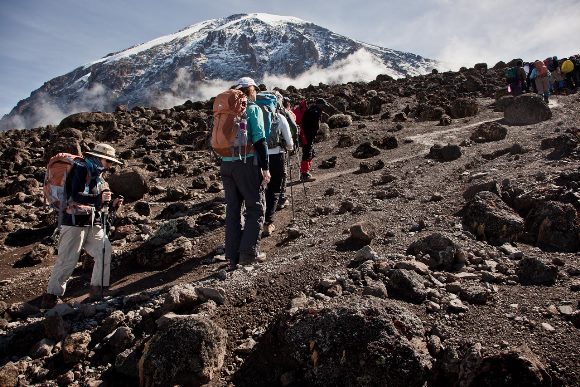 Kilimanjaro national park