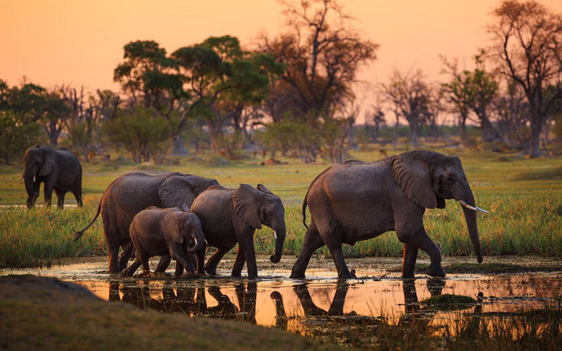 Tarangire national park 