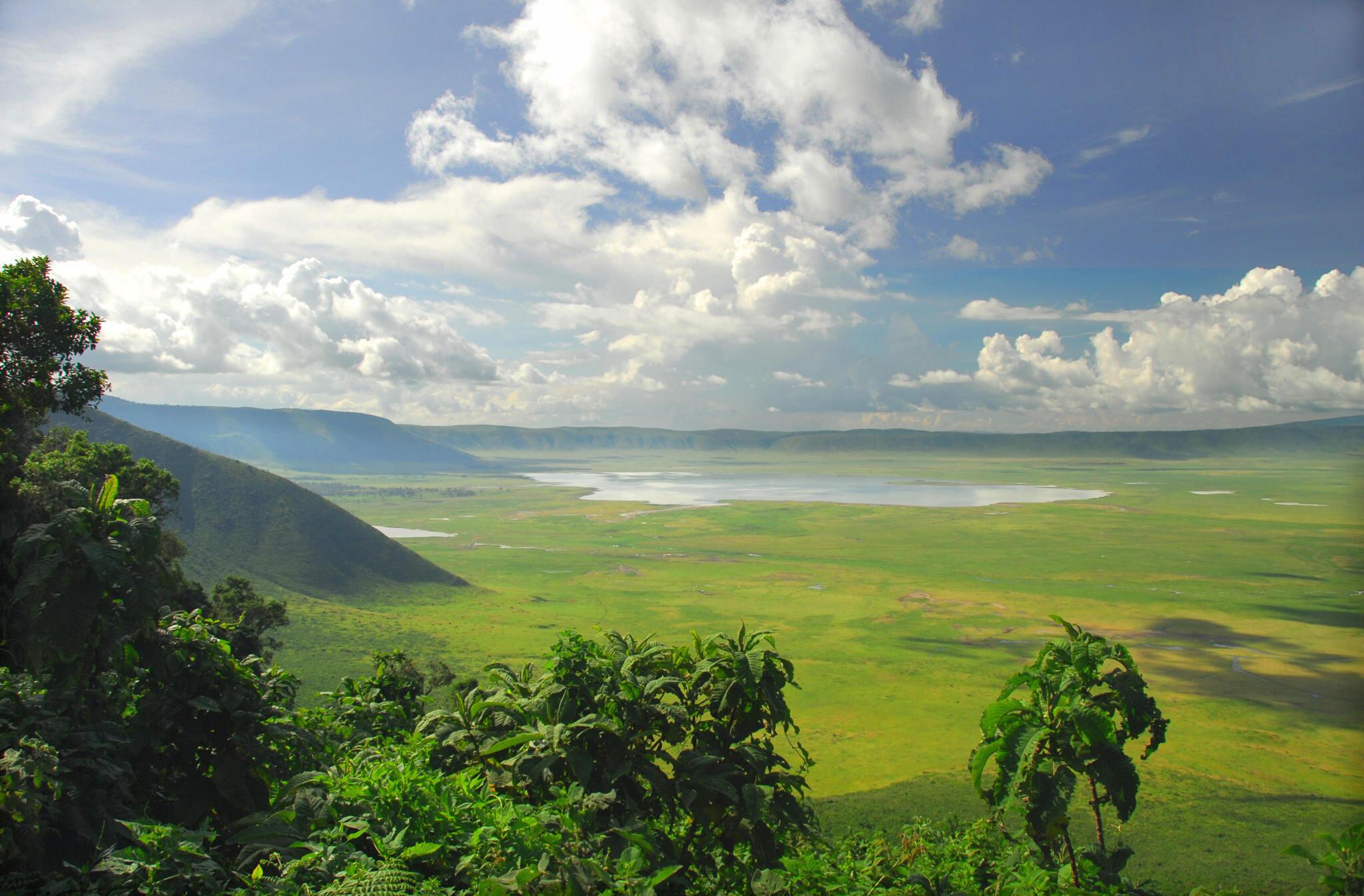 Ngorongoro