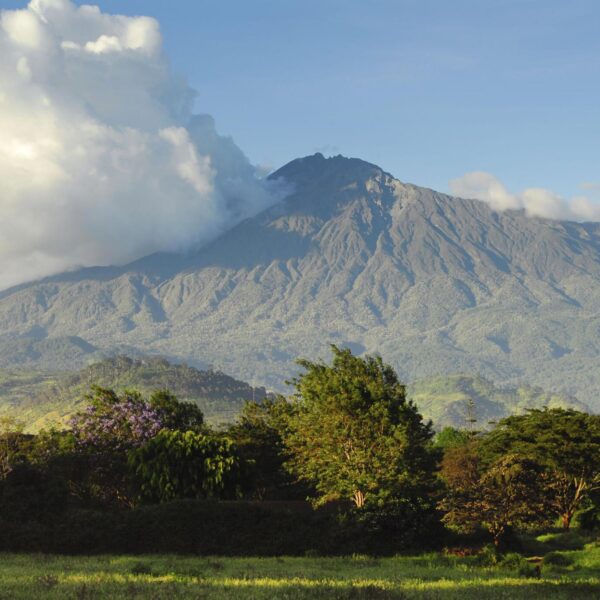 Conquer Mount Meru: Tanzania's Best-Kept Secret Expedition - Exclusive Guided Trek